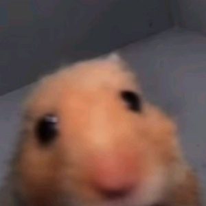 알로항 돈 삽니다