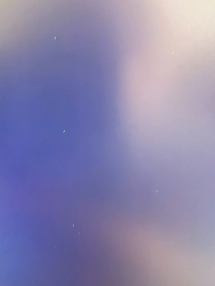 DELL 고사양 게임용,그래픽 모니터 4K--1