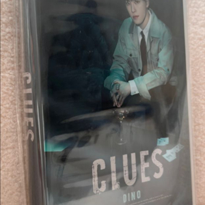 [미개봉/정품] 세븐틴 디노 생일박스 ver.4 포카포함