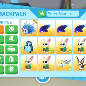 입양 잡펫 이미지