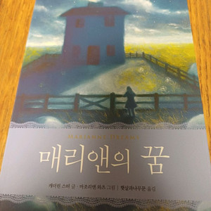 매리앤의 꿈, 트리갭의 샘물 초등도서