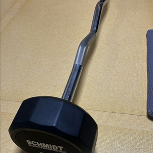 슈미트 이지바 30kg 이미지