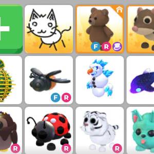 입양하세요 펫 팝니다. 이미지