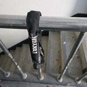 전기자전거 에코로350