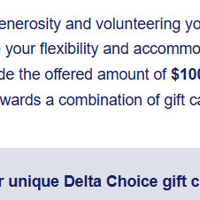 델타항공 오버부킹 바우처 / 델타 기프트카드 구매해요 이미지