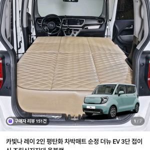 레이 카빛나 평탄화매트