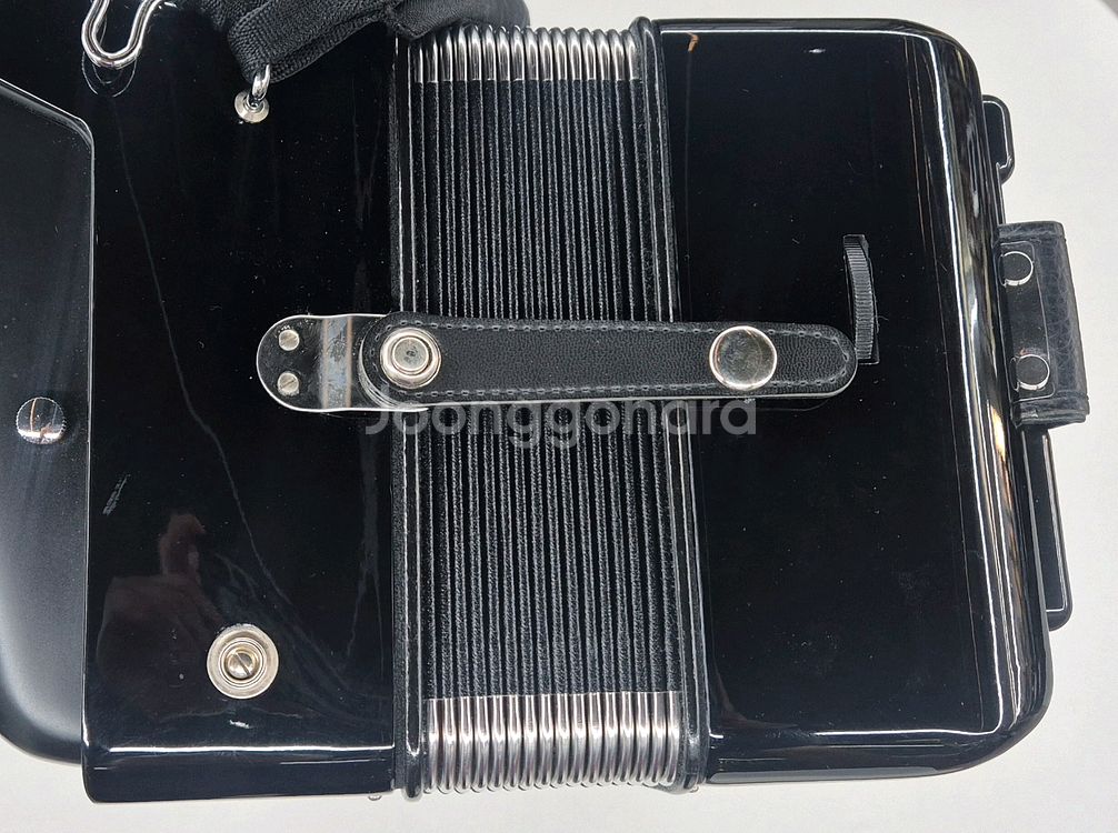 아코디언 아코디온 호너 부라뵈||| 60--4