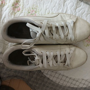 푸마 클래식 운동화 베이지