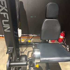 엑스펀 레그익스텐션 라잉레그컬 랫풀다운 딥스디핑머신