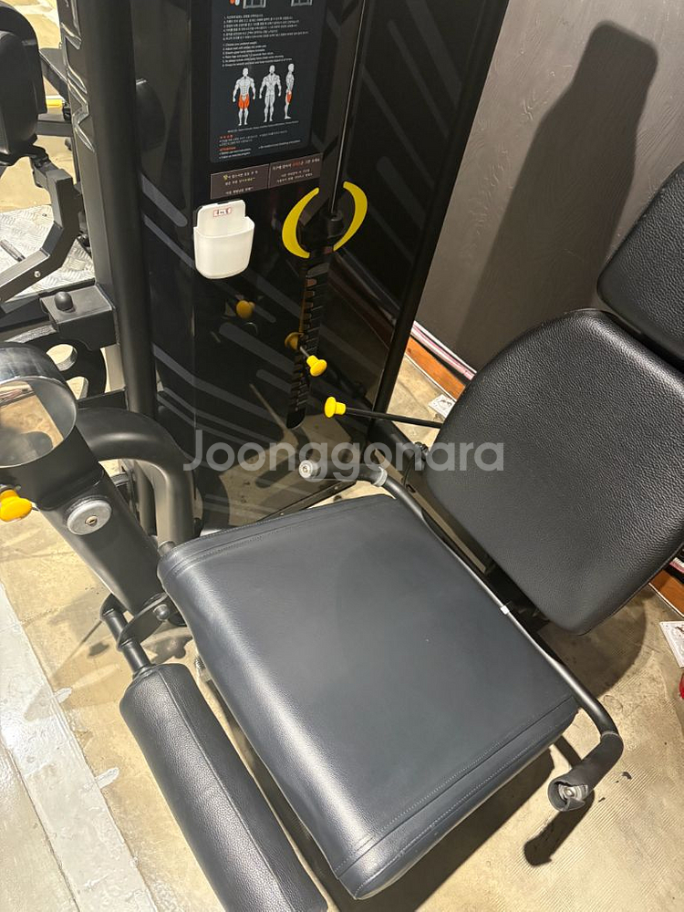 엑스펀 레그익스텐션 라잉레그컬 랫풀다운 딥스디핑머신--1