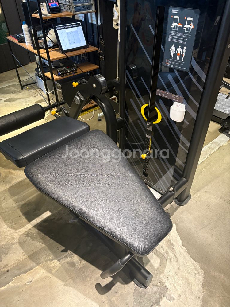 엑스펀 레그익스텐션 라잉레그컬 랫풀다운 딥스디핑머신--2