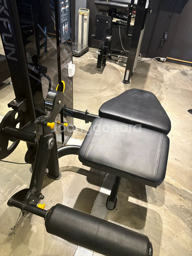 엑스펀 레그익스텐션 라잉레그컬 랫풀다운 딥스디핑머신--3