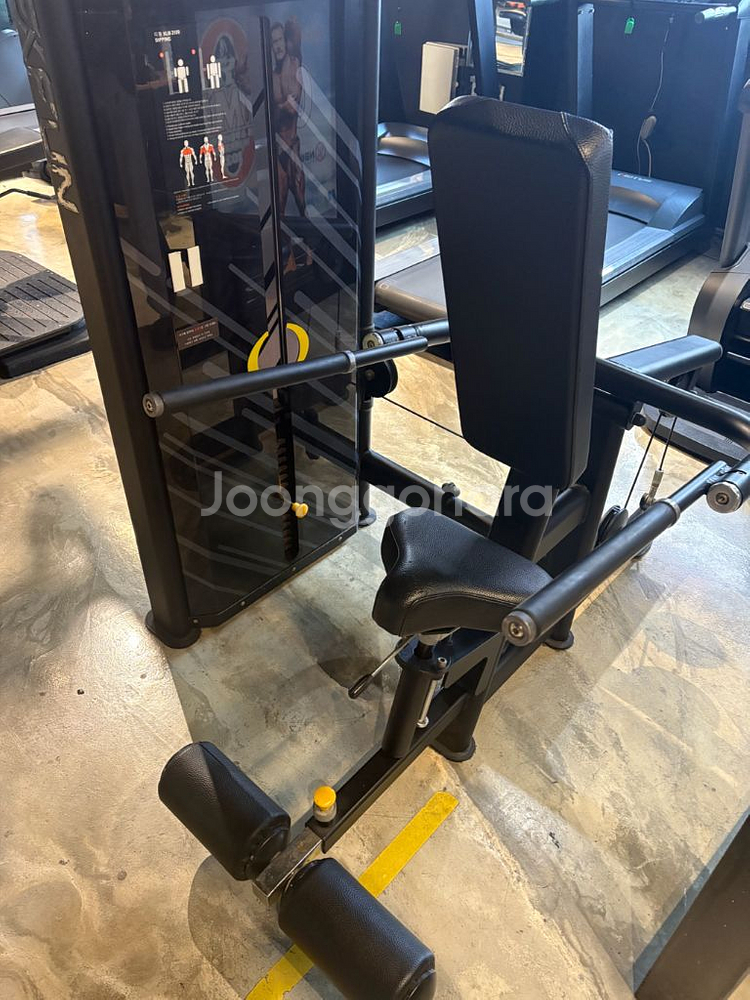 엑스펀 레그익스텐션 라잉레그컬 랫풀다운 딥스디핑머신--4