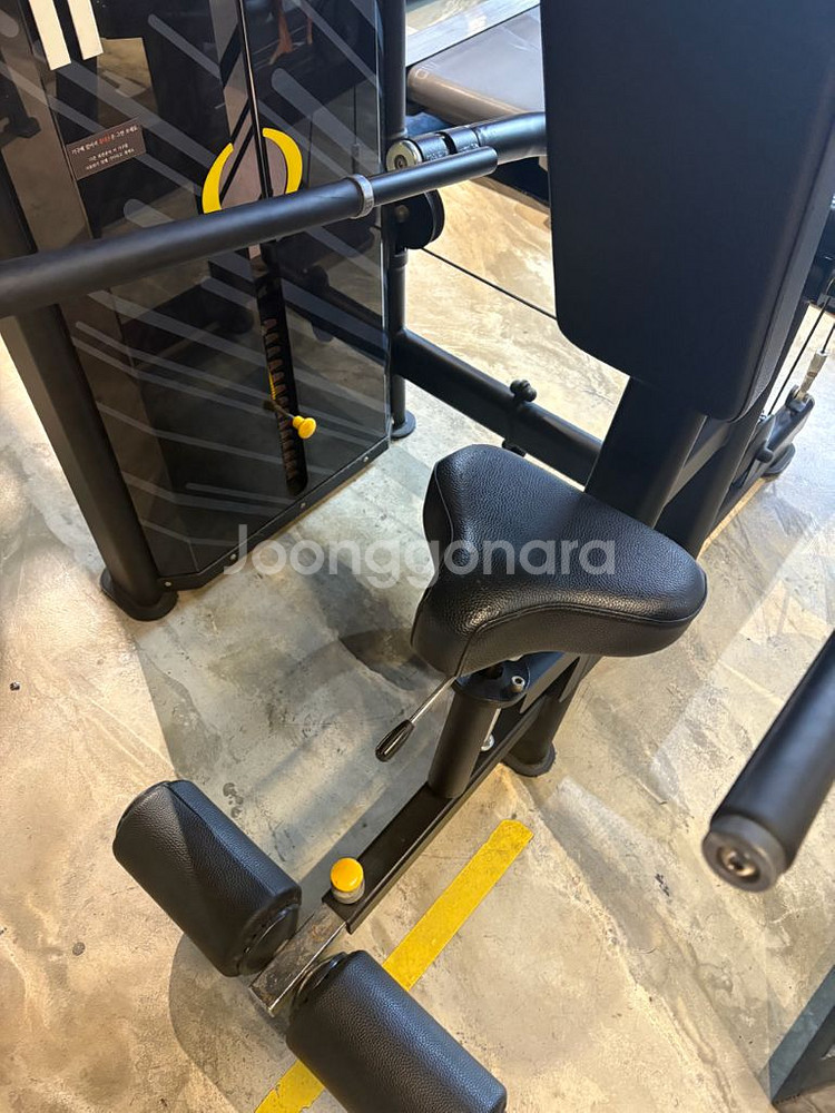 엑스펀 레그익스텐션 라잉레그컬 랫풀다운 딥스디핑머신--5