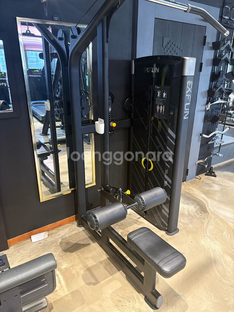 엑스펀 레그익스텐션 라잉레그컬 랫풀다운 딥스디핑머신--6