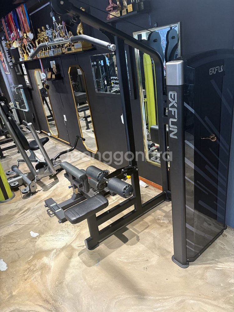 엑스펀 레그익스텐션 라잉레그컬 랫풀다운 딥스디핑머신--7