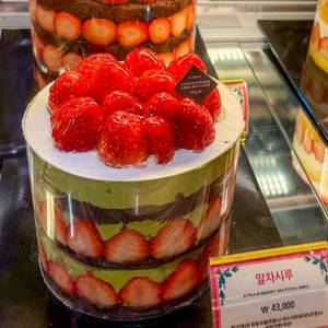 [365일 배송] 성심당 딸기시루 말차시루 딸기요거롤 대행 전국배달