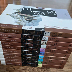 창비 )황석영 삼국지 전10권 세트