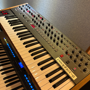 Prophet 6 판매합니다!