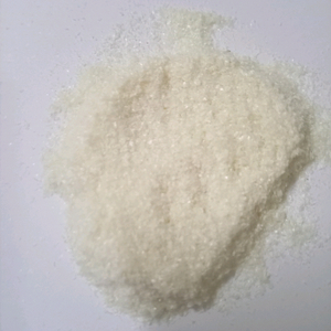 대장암 완쾌시킨 1998 그 키토산