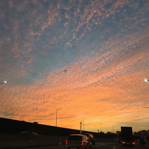 알로항머니 삽니다