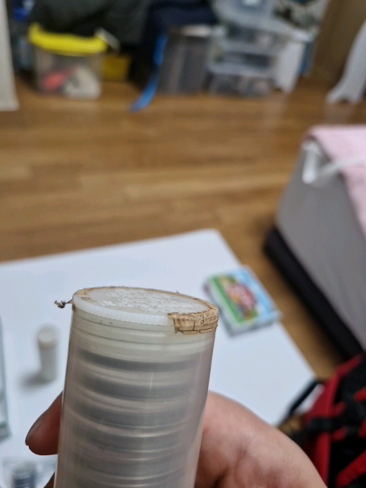 88서울올림픽 기념주화 1000원화 20장세트(관봉) 및 2000원화 20장(관봉)세트--6