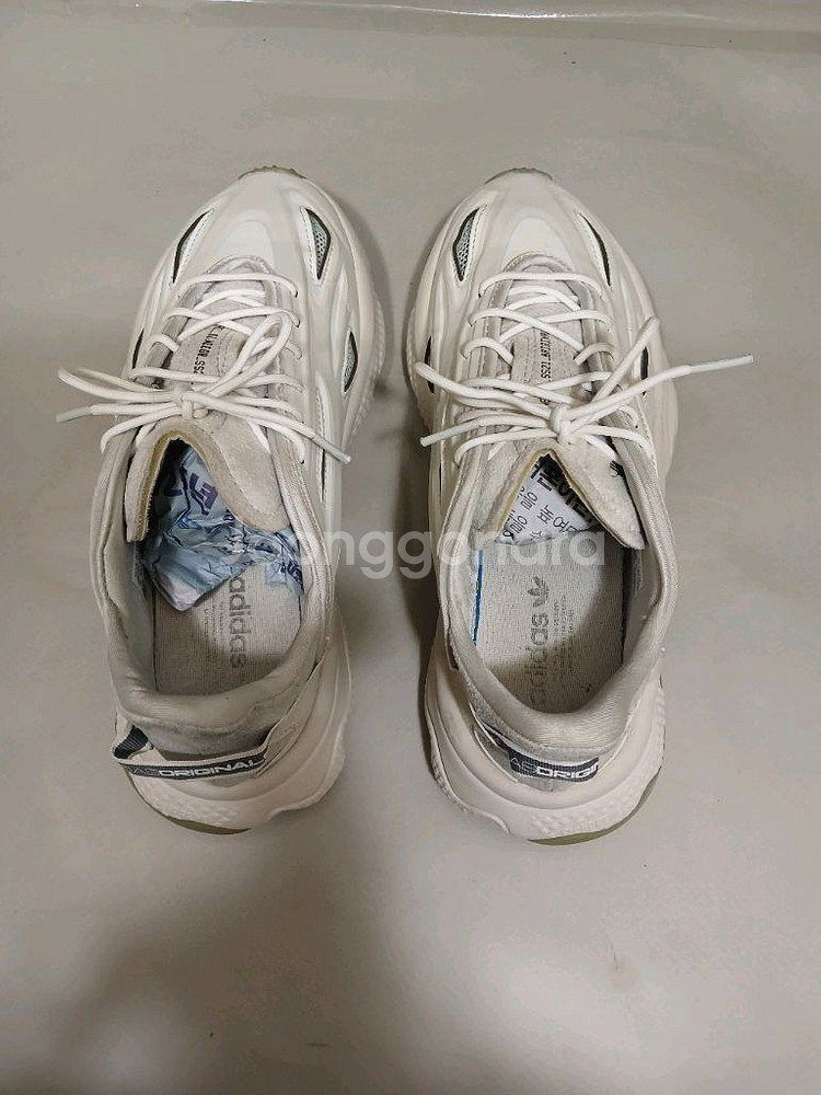 아디다스 오즈위고 셀록스 240--6