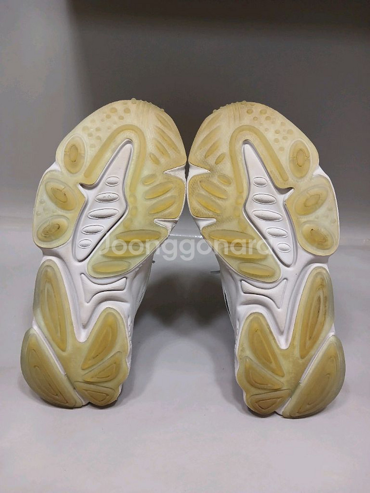 아디다스 오즈위고 셀록스 240--7