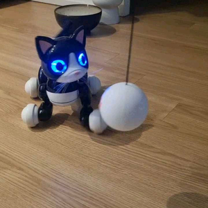 줌머키티 로봇 고양이 이미지