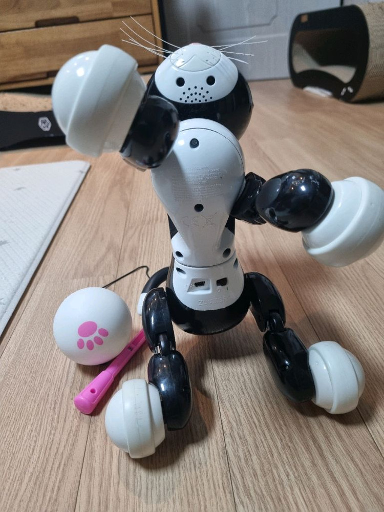 줌머키티 로봇 고양이 이미지