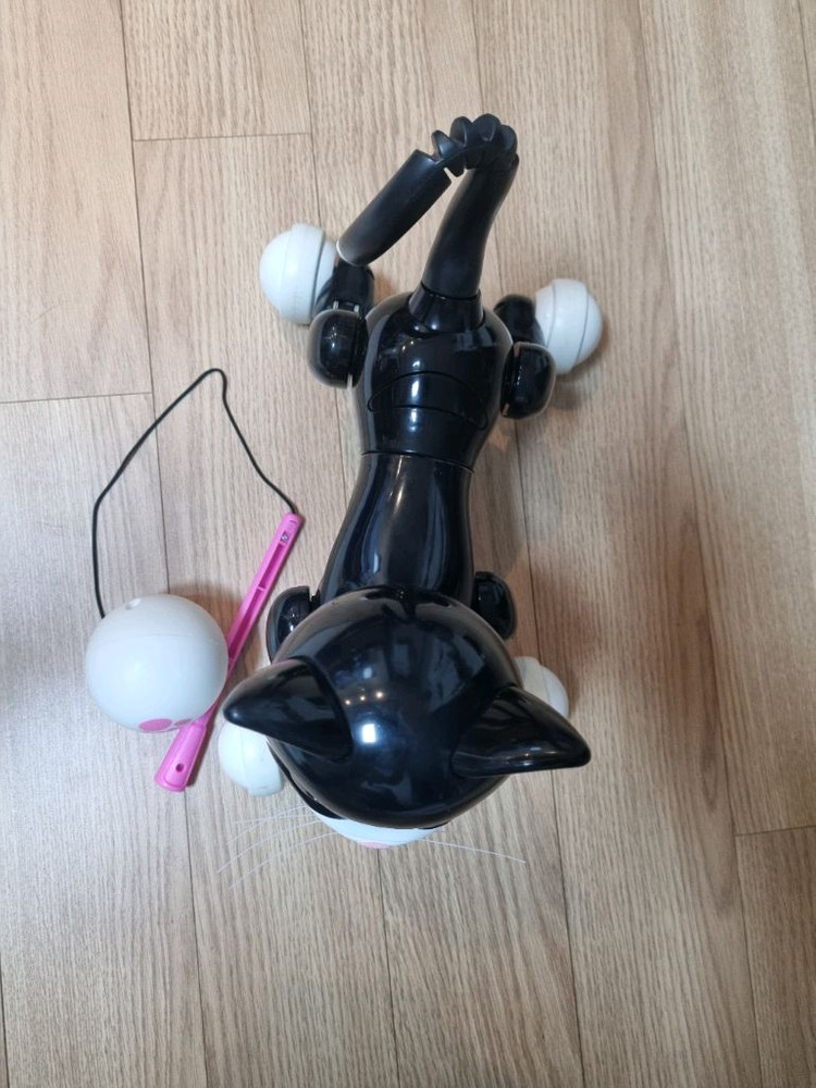 줌머키티 로봇 고양이 이미지