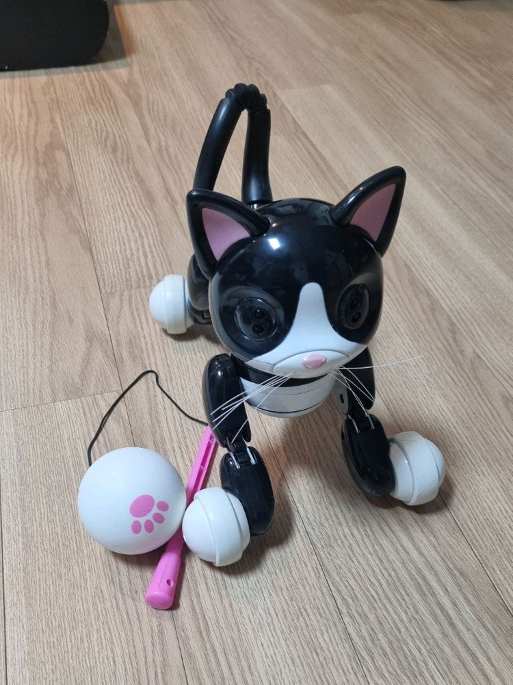 줌머키티 로봇 고양이 이미지