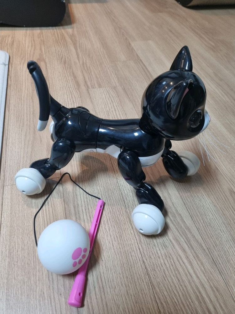 줌머키티 로봇 고양이 이미지