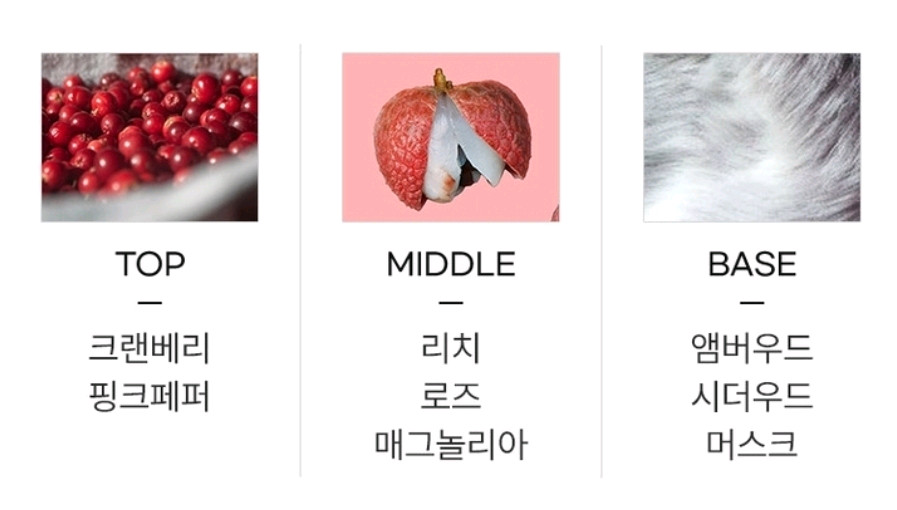 디스퀘어드2 레드 우드 오드뚜왈렛 100ml 이미지