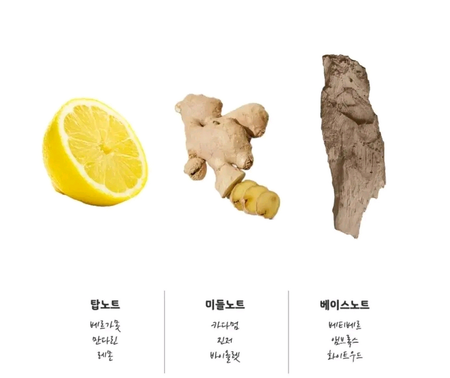 디스퀘어드2 우드 뿌르옴므 오드뚜왈렛 100ml 이미지