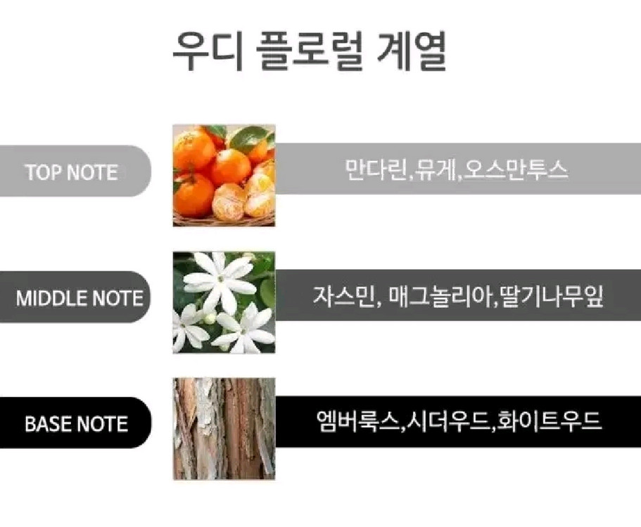 디스퀘어드2 우드 오드뚜왈렛 100ml 이미지