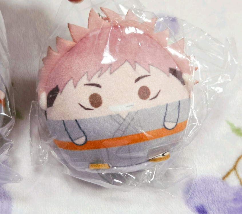 [일괄] 주술회전 후와쿠지 후와코로링 테노린즈 이타도리 유지 D상 E상--2