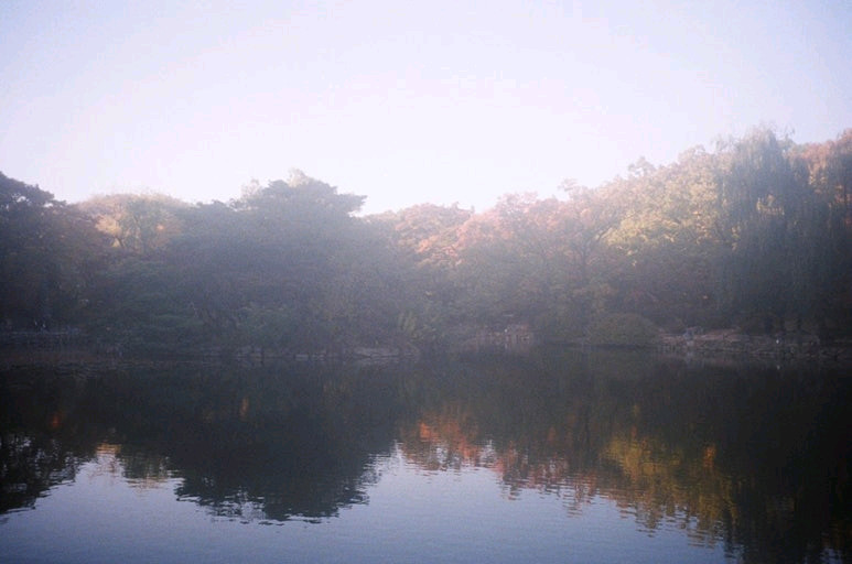 올림푸스 뮤줌 파노라마 필름카메라 (빈티지 카메라) 이미지