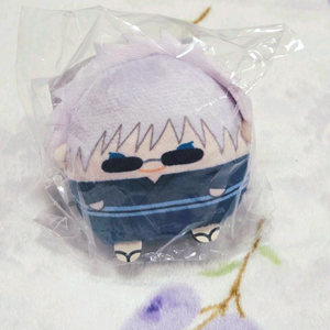 주술회전 후와쿠지 누이쿠지 테노린즈 고죠 사토루 E상