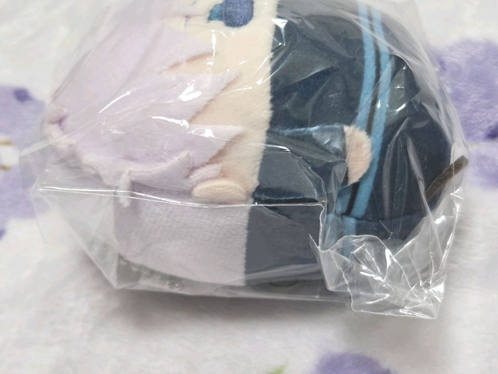 주술회전 후와쿠지 누이쿠지 후와코로링 고죠 사토루 D상 이미지