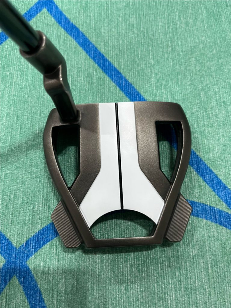 테일러메이드 스파이더 투어x 퍼터 33인치--1