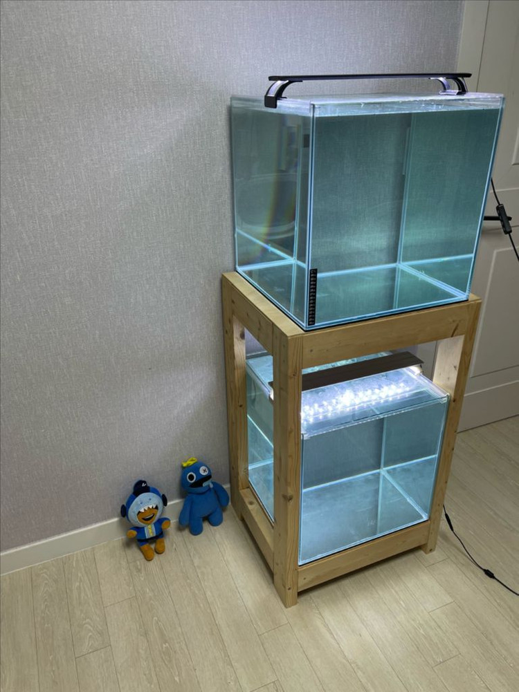 (경기 북부) 프리미엄 켈란 45큐브 수조 6T 원목 축양장 세트 상태 S급 어항 판매 (개별 가능)켈란 어항 세트--1