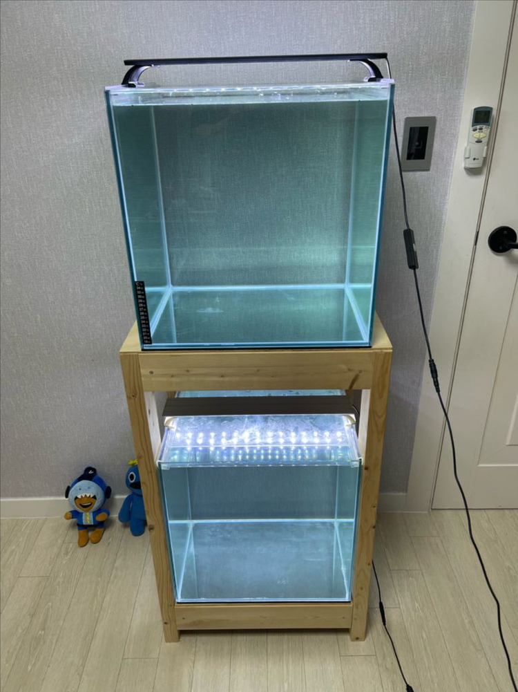 (경기 북부) 프리미엄 켈란 45큐브 수조 6T 원목 축양장 세트 상태 S급 어항 판매 (개별 가능)켈란 어항 세트--2