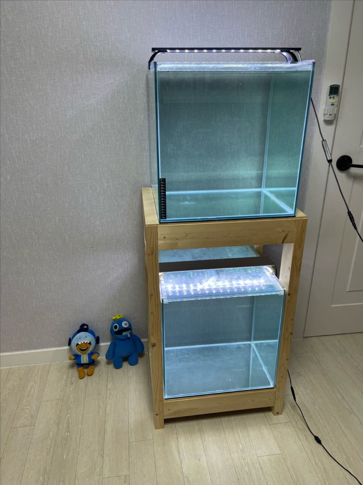 (경기 북부) 프리미엄 켈란 45큐브 수조 6T 원목 축양장 세트 상태 S급 어항 판매 (개별 가능)켈란 어항 세트--3