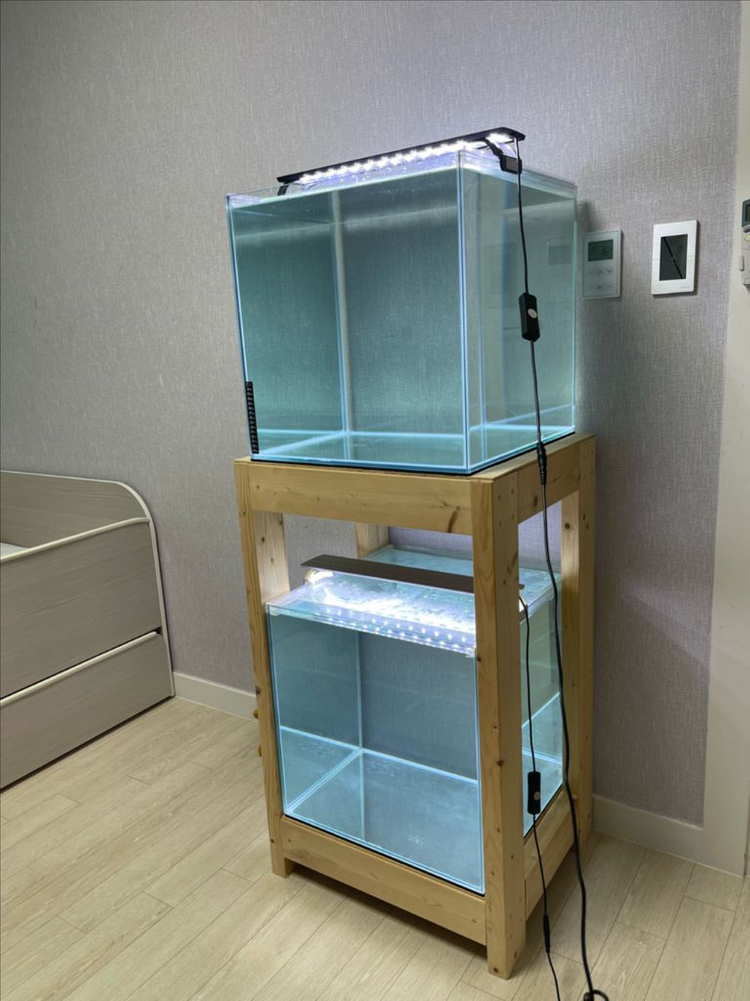 (경기 북부) 프리미엄 켈란 45큐브 수조 6T 원목 축양장 세트 상태 S급 어항 판매 (개별 가능)켈란 어항 세트--4