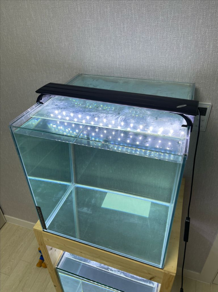(경기 북부) 프리미엄 켈란 45큐브 수조 6T 원목 축양장 세트 상태 S급 어항 판매 (개별 가능)켈란 어항 세트--5