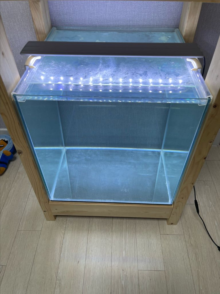 (경기 북부) 프리미엄 켈란 45큐브 수조 6T 원목 축양장 세트 상태 S급 어항 판매 (개별 가능)켈란 어항 세트--6