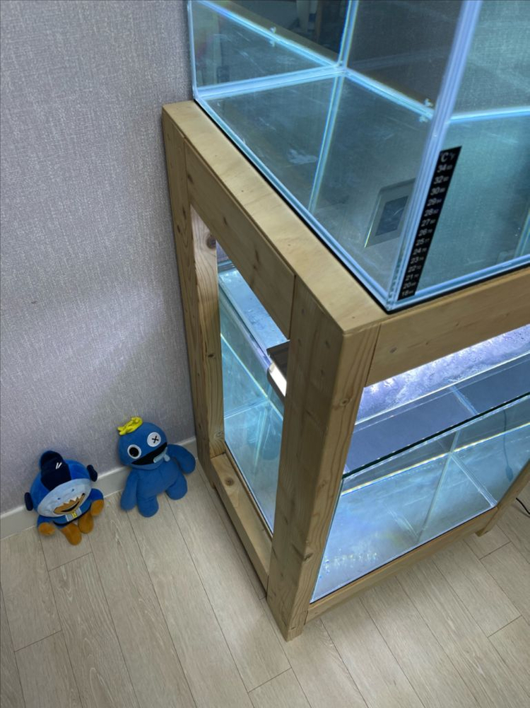 (경기 북부) 프리미엄 켈란 45큐브 수조 6T 원목 축양장 세트 상태 S급 어항 판매 (개별 가능)켈란 어항 세트--7