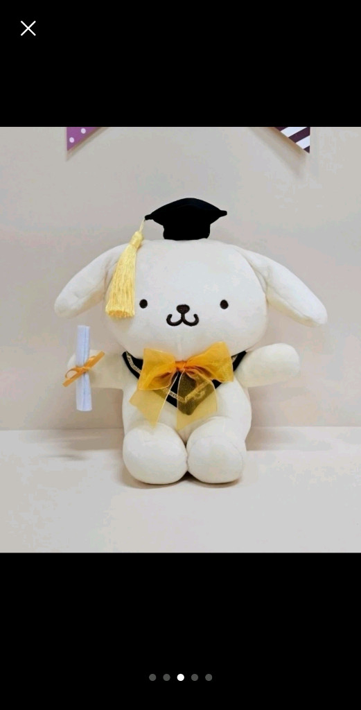 25cm 산리오 헬로키티 한교동 쿠로미 시나모롤 폼폼푸린 뉴학사모 중형 봉제 인형 (새상품, 정품택0) 이미지