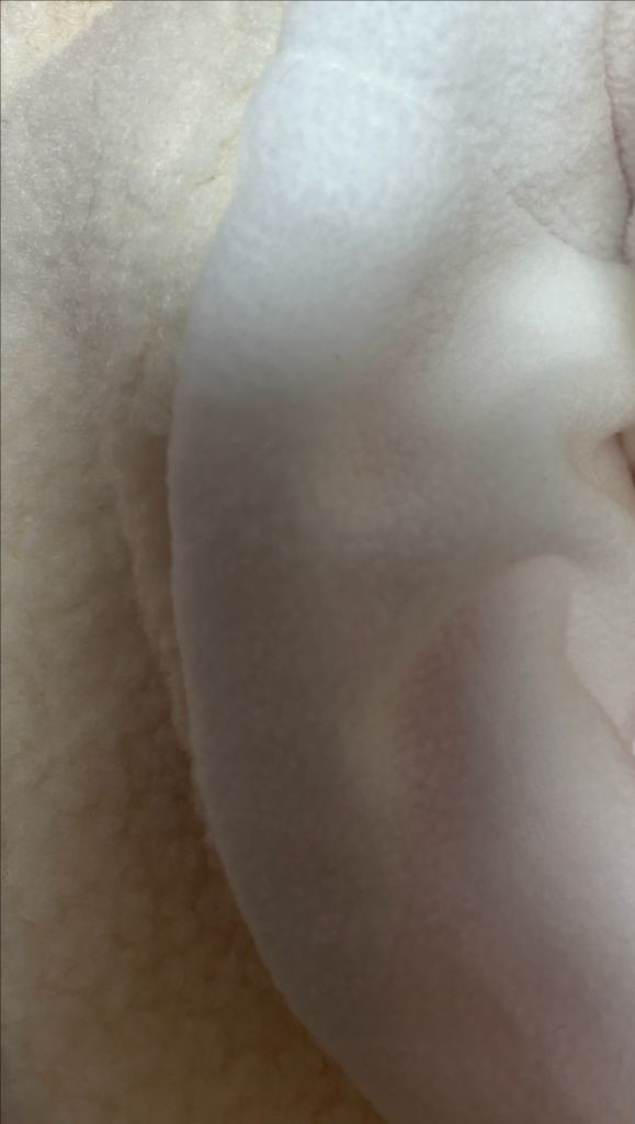 새제품)밑단 뽀글이 후리스 패딩 바지 팝니다--4